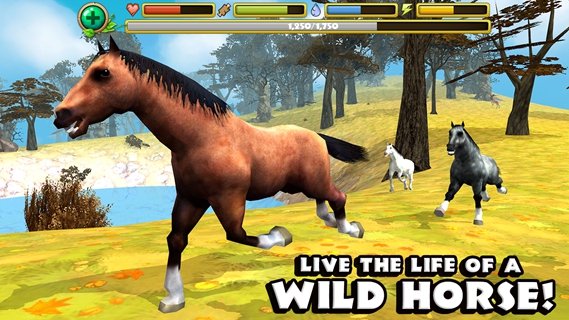 Ұģ(Horse Sim)
