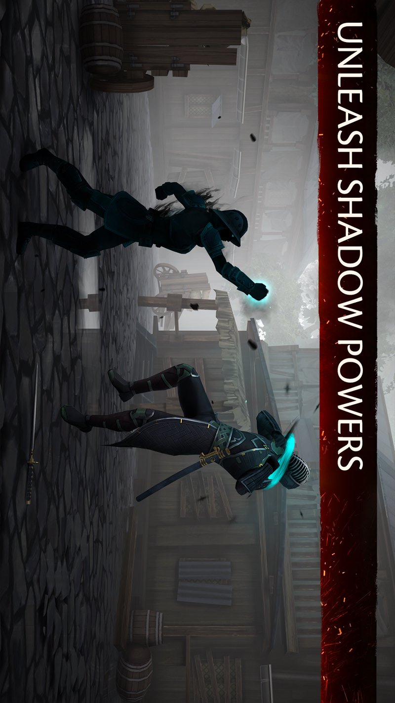Ӱ3ȸ(Shadow Fight 3)