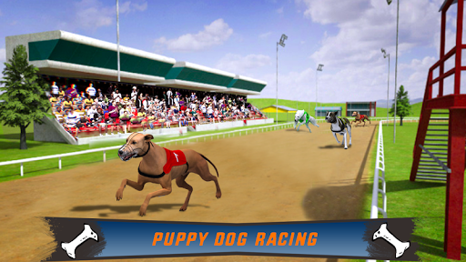 (Dog Crazy Race Simulator)