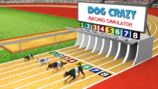(Dog Crazy Race Simulator)