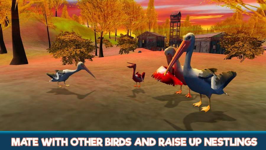 ģ3D(Pelican Bird Simulator 3D)