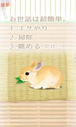 (Rabbit)