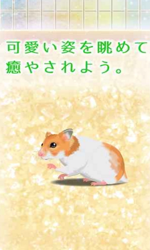 (Hamster)