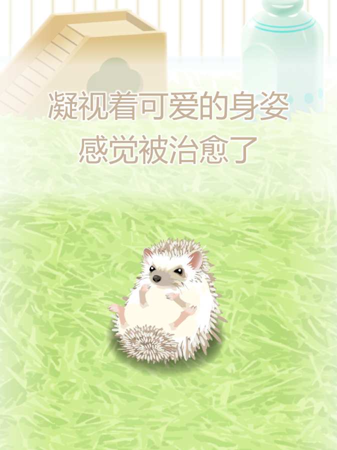 Ϸ(Hedgehog)