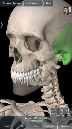 Essential Skeleton 4 iPhone/iPad