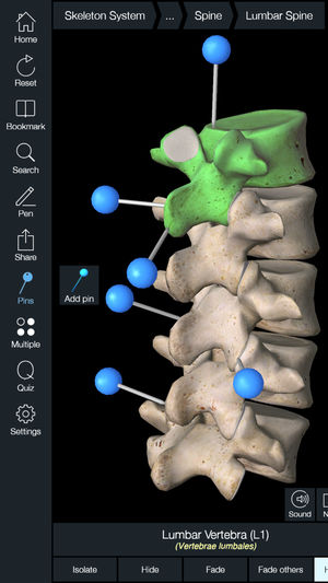 Essential Skeleton 4 iPhone/iPad